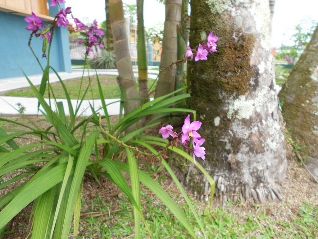 Arenal Rabfer Hotel