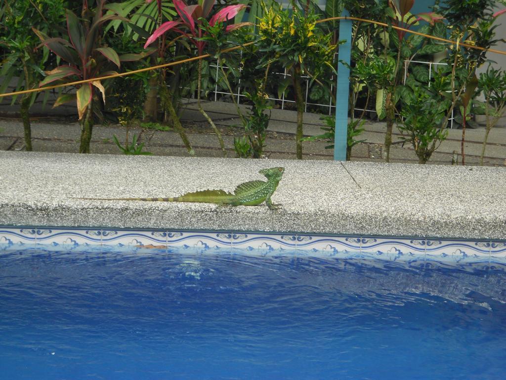 Hotel Arenal Rabfer