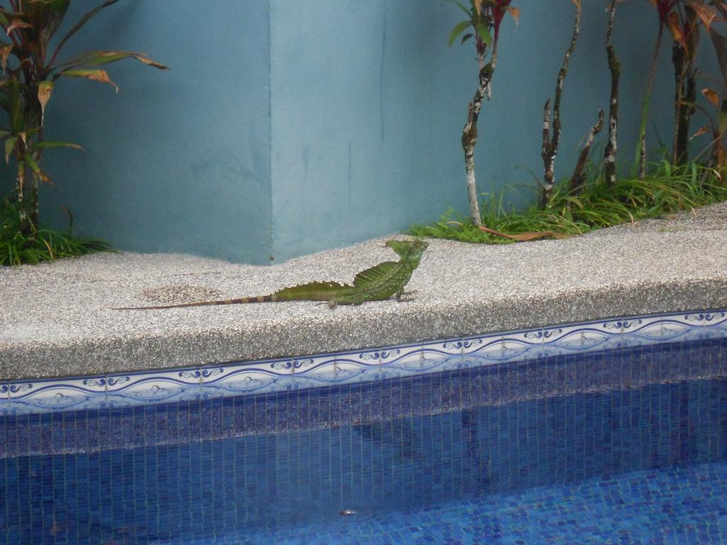 Hotel Arenal Rabfer
